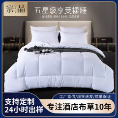 酒店全棉防雨布被芯 全棉防雨布450克每平方 1.2床170*230*5条